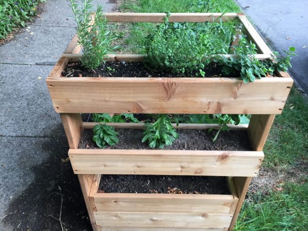 Pickling raised vegetable garden planter box herb growing